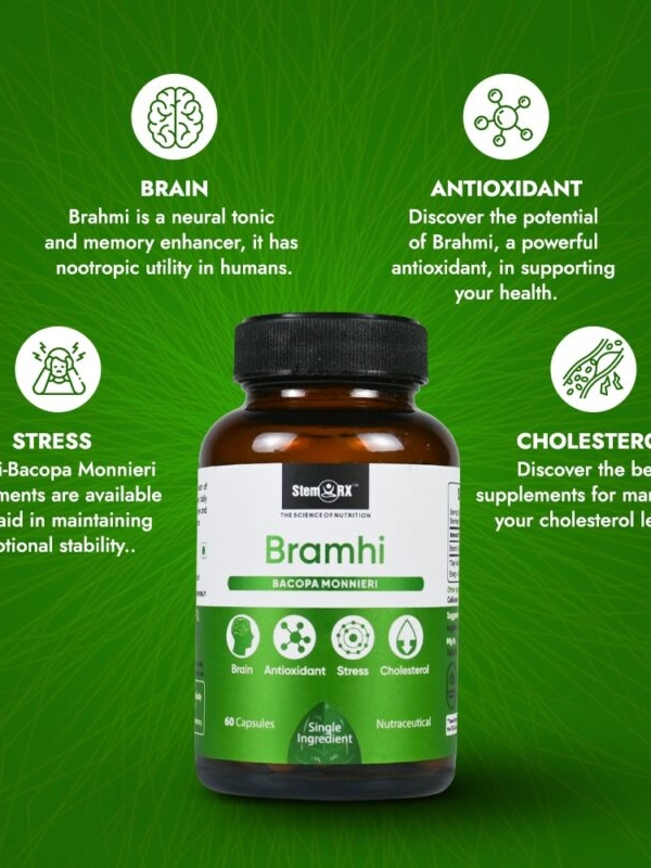 photo_2024-09-13_10-53-58