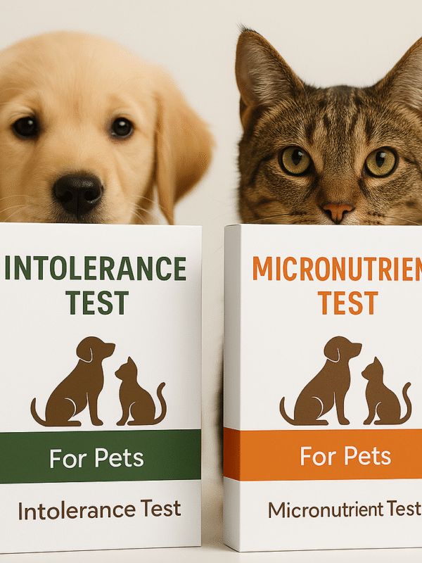 0CD2C95A-8C06-4F21-B8DC-8D68CBBC6C2A